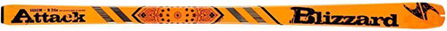 Blizzard Attack 2015 ski image