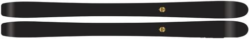 Moonlight Mountain Gear Eagle Carbon Race 2019 ski image